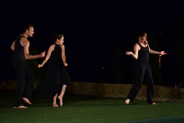 IDDL 2014 Gala Performance